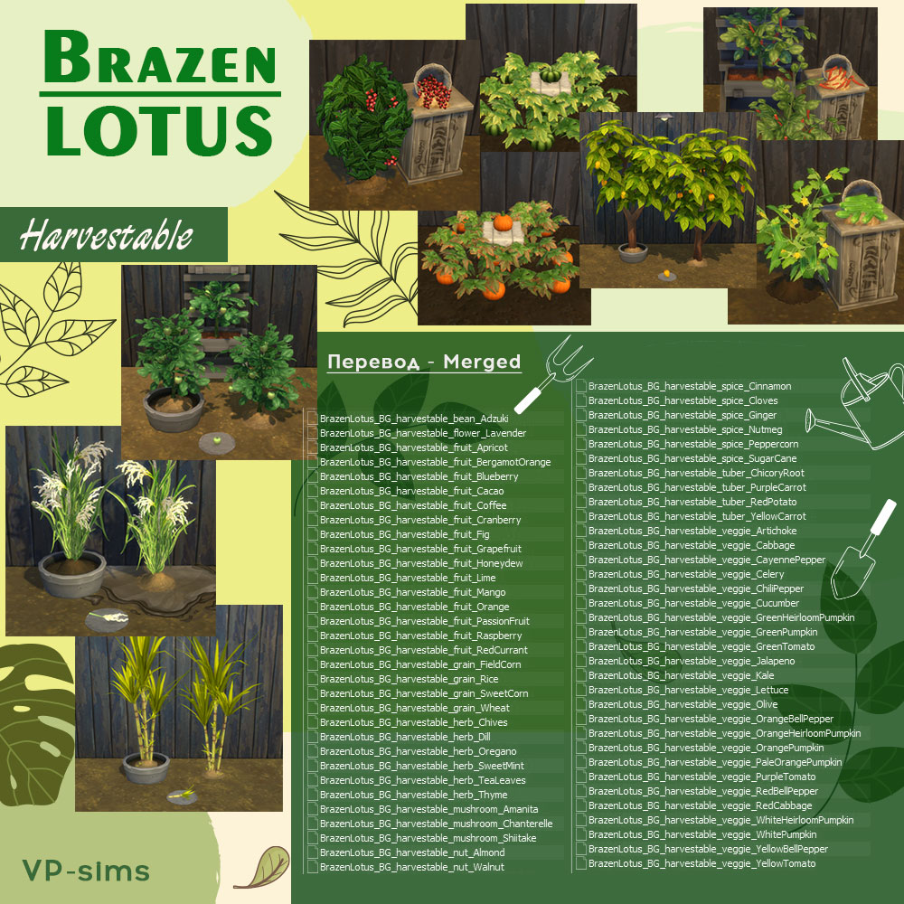 Перевод растений BrazenLotus